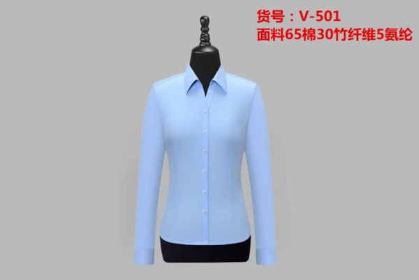 V-501.